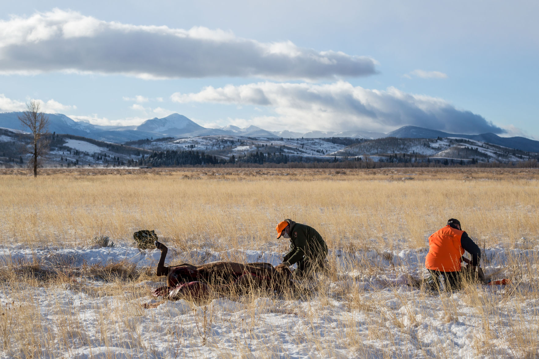 Grand Teton National Park elk hunt